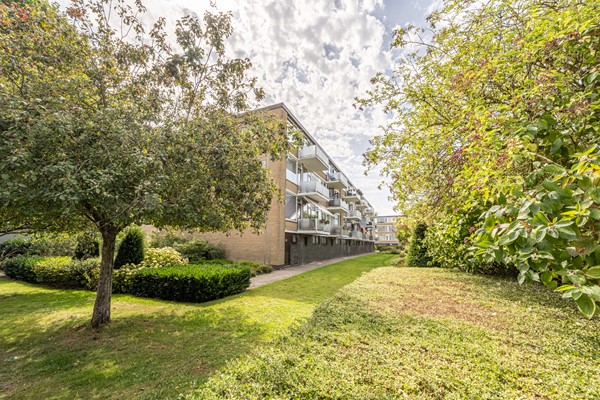 Herman de Manstraat 96-53.jpg